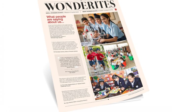 Small Wonder Newsletter Design